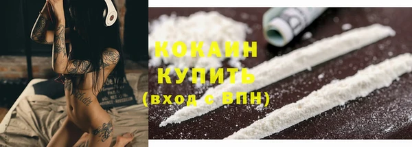 сатива Осташков