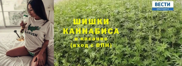 сатива Осташков