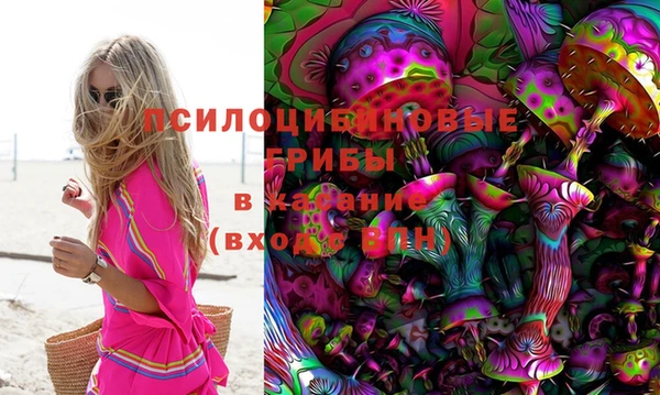 бутират Пересвет