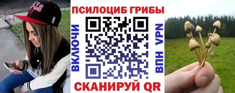 Галлюциногенные грибы ЛСД  блэк спрут как зайти  Красавино 